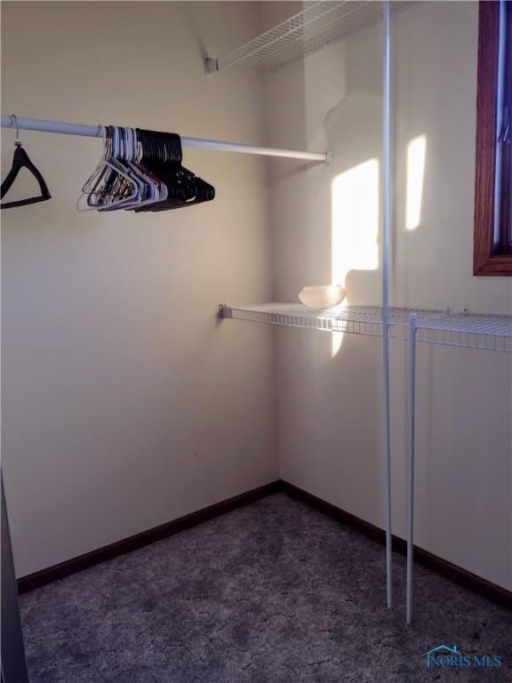 walk in closet featuring dark colored carpet