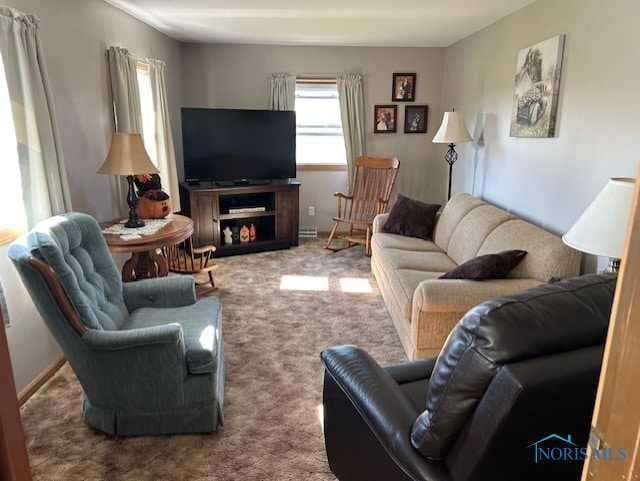 living room featuring carpet