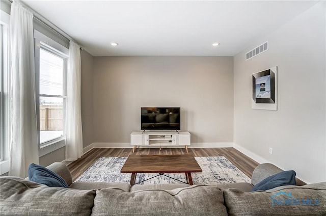 living room with dark hardwood / wood-style floors and a wealth of natural light