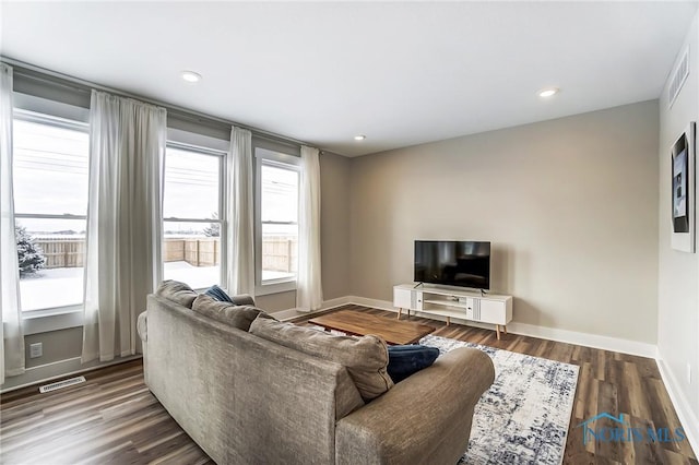 living room featuring dark hardwood / wood-style flooring