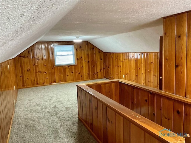 additional living space featuring wood walls, carpet, and a textured ceiling