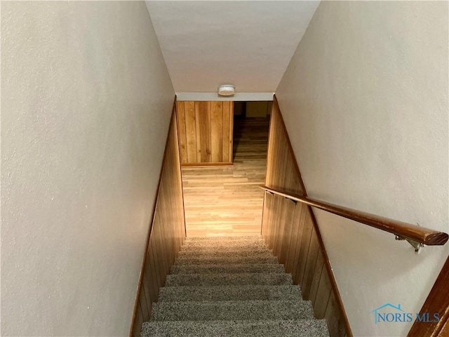 staircase with carpet flooring