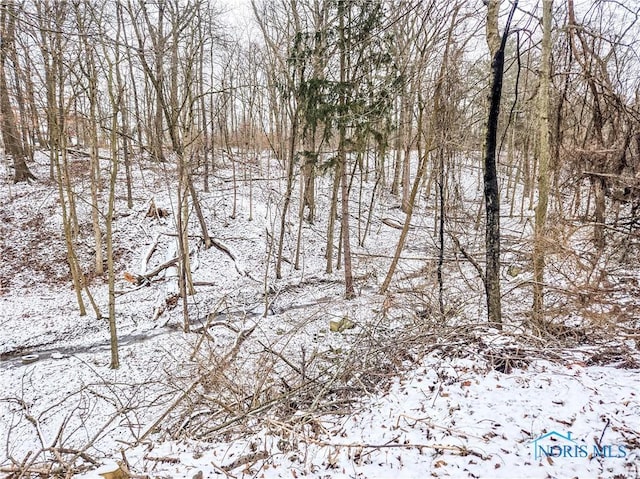 0.0 Summit St, Defiance OH, 43512 land for sale