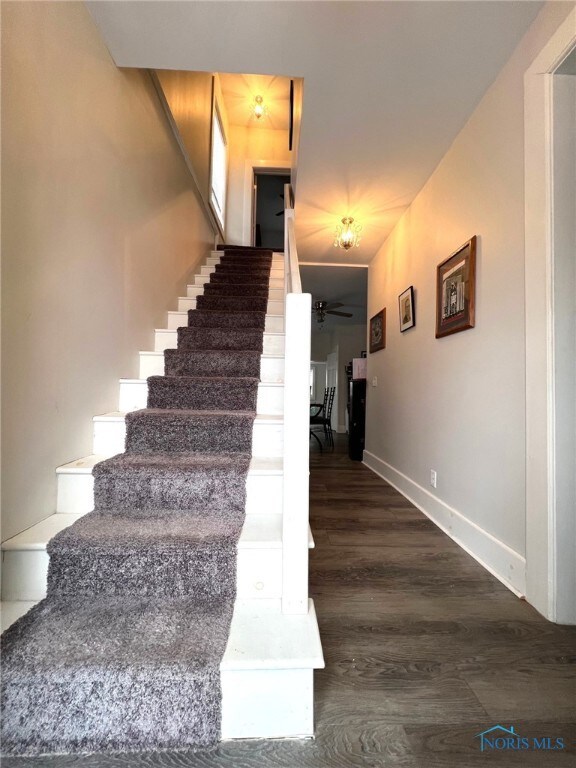 stairs with hardwood / wood-style floors and ceiling fan