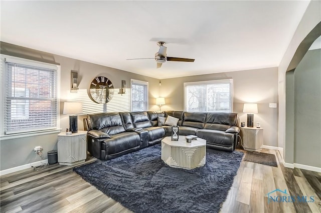 living room with a wealth of natural light, ceiling fan, and hardwood / wood-style flooring