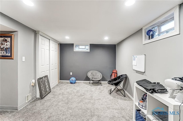 miscellaneous room featuring carpet floors