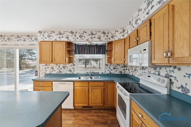 kitchen featuring white appliances, dark hardwood / wood-style floors, and sink