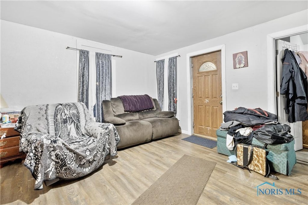 living room featuring hardwood / wood-style flooring