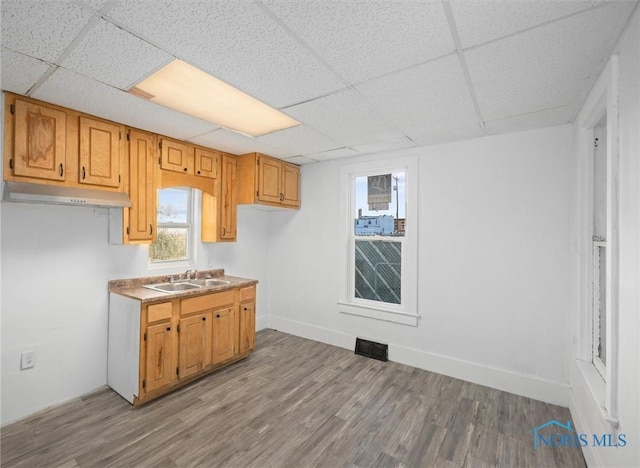 kitchen with a paneled ceiling, light wood-type flooring, and sink