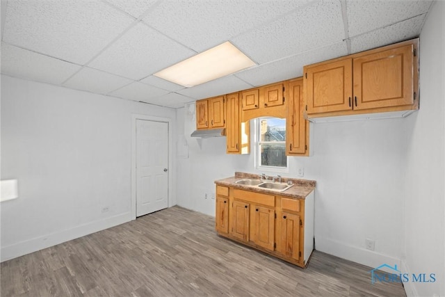 kitchen featuring sink, a drop ceiling, and light wood-type flooring