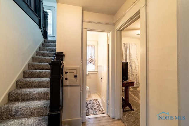 staircase featuring a wealth of natural light and hardwood / wood-style flooring