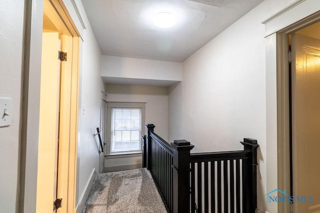 staircase featuring carpet flooring