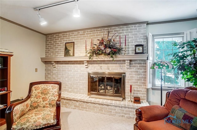 living area with a fireplace, ornamental molding, and rail lighting