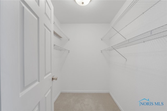 spacious closet with carpet floors