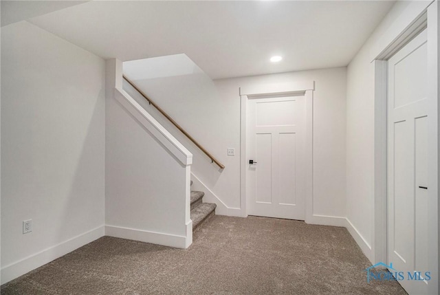 stairway featuring carpet floors