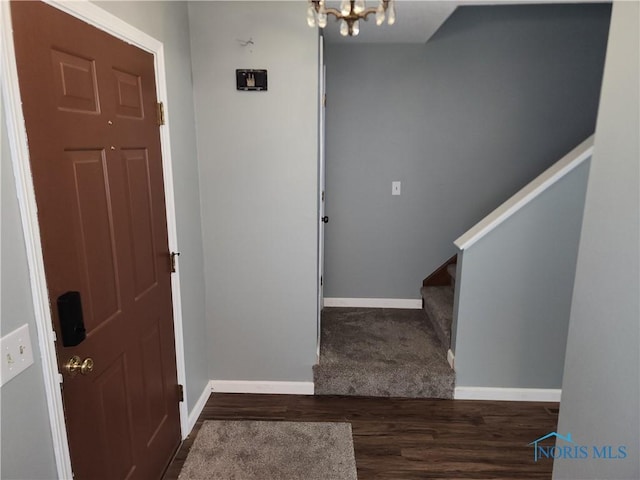 entrance foyer featuring dark hardwood / wood-style flooring