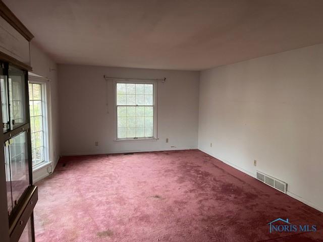 carpeted spare room with a healthy amount of sunlight