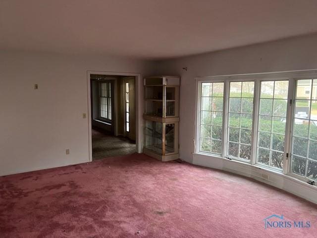 unfurnished living room featuring carpet