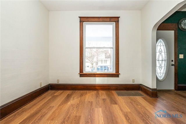 foyer with a healthy amount of sunlight and wood-type flooring