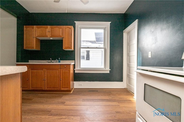 kitchen featuring light hardwood / wood-style flooring and sink