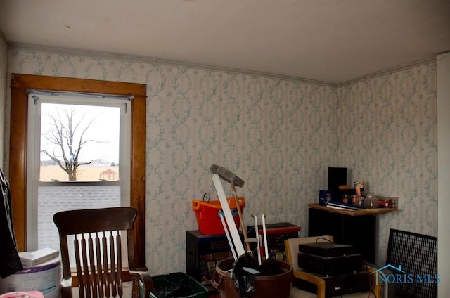 living area with ornamental molding