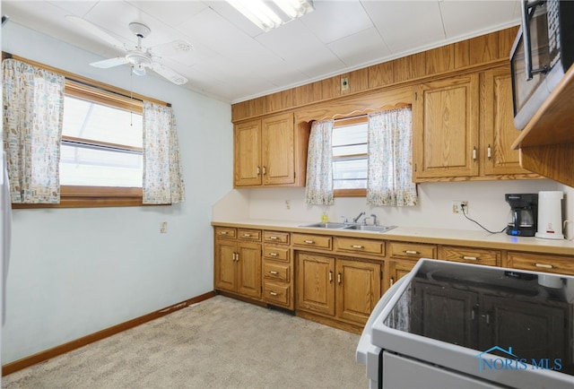 kitchen with light carpet, electric range, a healthy amount of sunlight, and sink