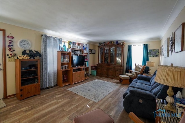 living room with hardwood / wood-style flooring and ornamental molding