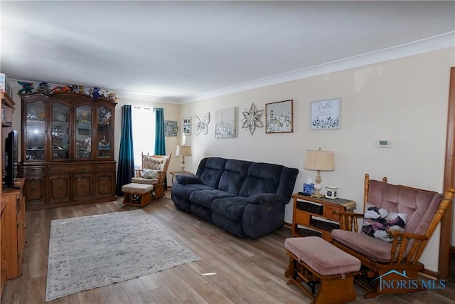 living room with light wood-type flooring and crown molding