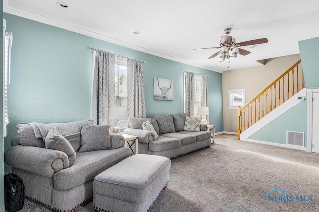 living room featuring carpet, ceiling fan, and ornamental molding