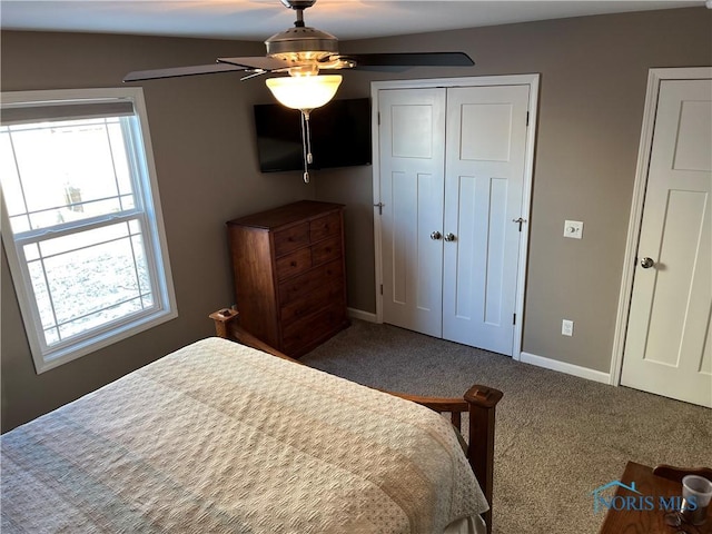 bedroom featuring ceiling fan, carpet floors, and multiple windows