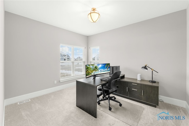 office featuring light colored carpet