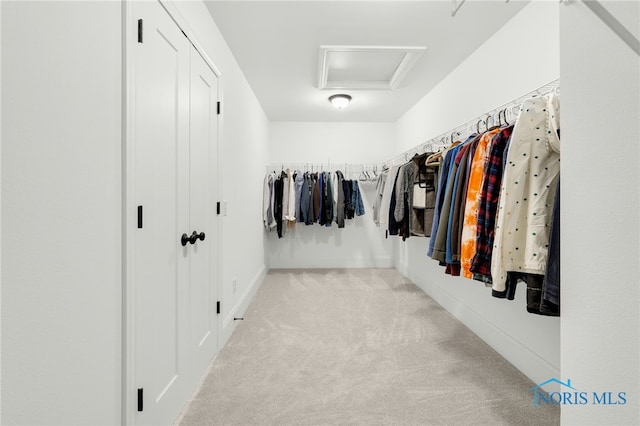 spacious closet featuring light colored carpet