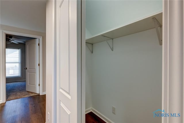 view of closet