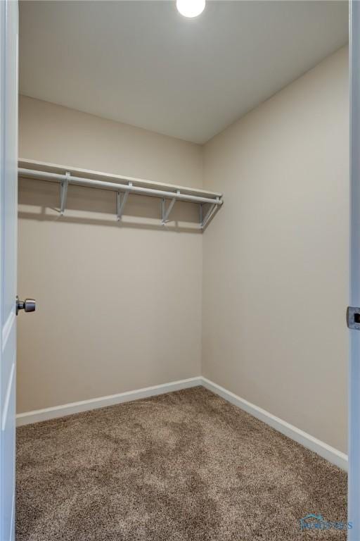 spacious closet with carpet flooring