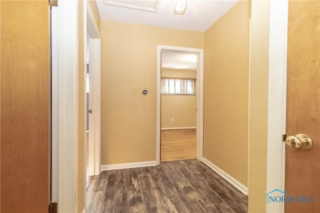 hall with dark hardwood / wood-style floors