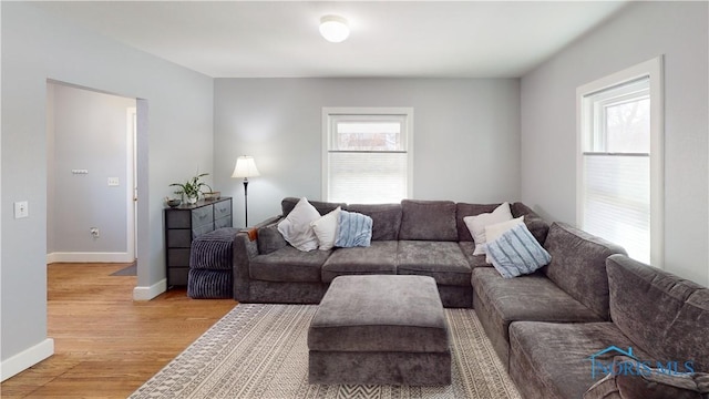 living room featuring hardwood / wood-style flooring