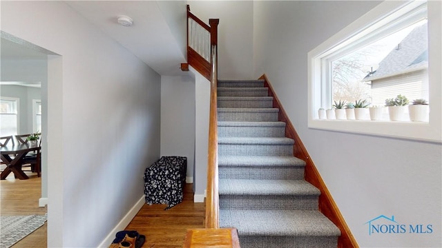 stairway featuring hardwood / wood-style flooring