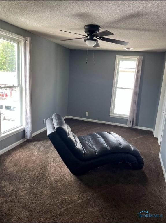 carpeted living room with ceiling fan, a wealth of natural light, and a textured ceiling