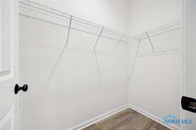 walk in closet with wood-type flooring