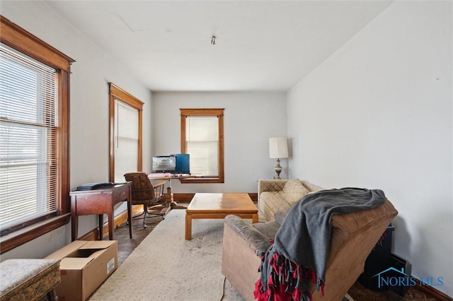 interior space featuring a healthy amount of sunlight and wood-type flooring