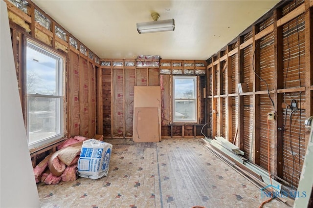 misc room featuring hardwood / wood-style flooring and a healthy amount of sunlight