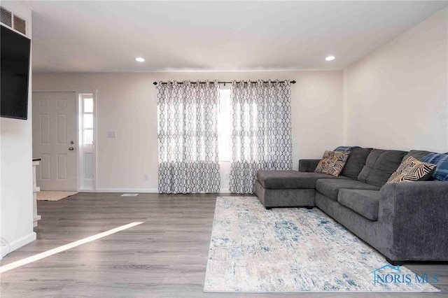 living room featuring wood-type flooring and a wealth of natural light