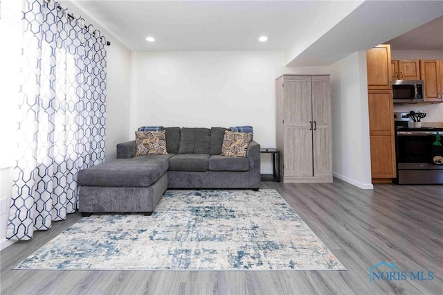 living room featuring wood-type flooring