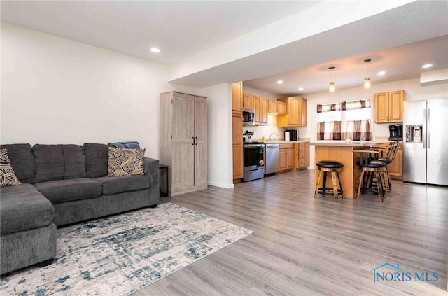 living room with light hardwood / wood-style flooring