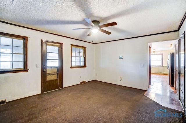 carpeted spare room with ceiling fan, a wealth of natural light, and a textured ceiling