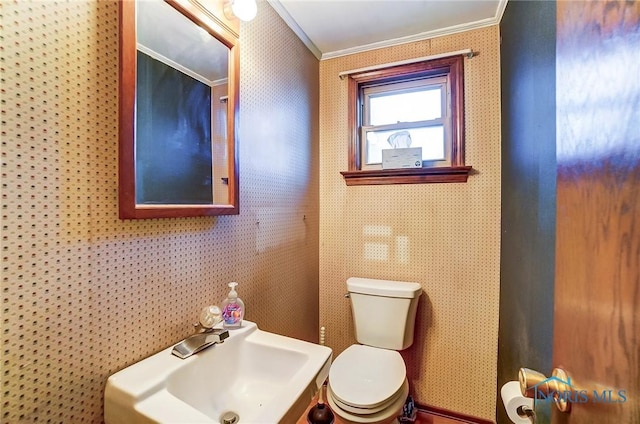 bathroom with sink, toilet, and crown molding