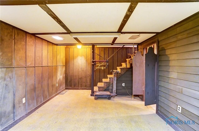 basement with wooden walls