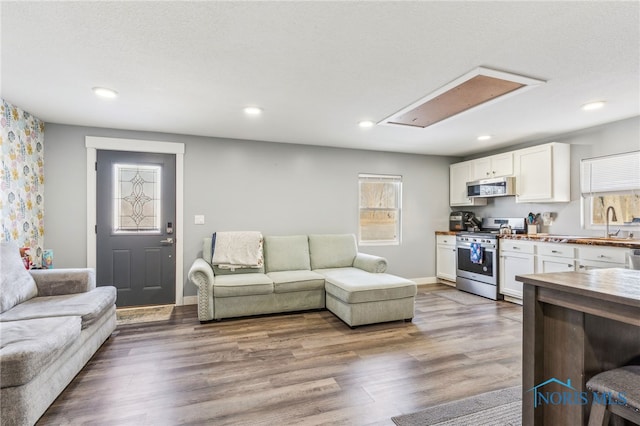 living room featuring sink and hardwood / wood-style flooring