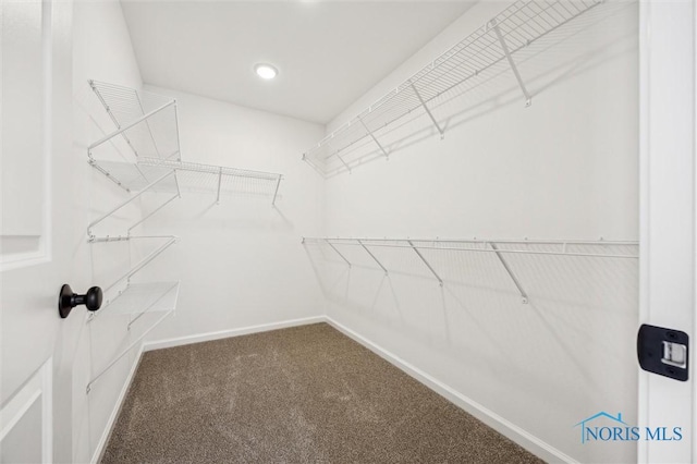 spacious closet with carpet