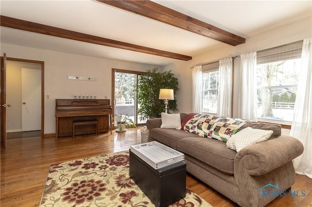 living room featuring a wealth of natural light, beam ceiling, and wood-type flooring